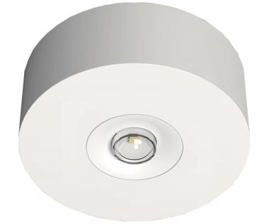 RP-Technik SI-Leuchte          EARL423WL 