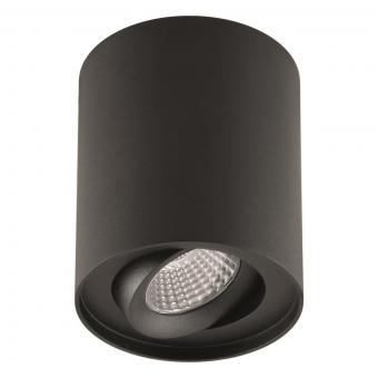 EVN Anbaudownlight schwenkb. ALS20100902 