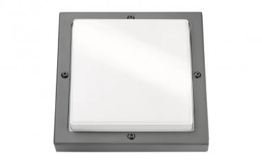 SGLI BASSI graphit E27 mit        623170 