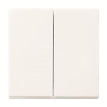 BJ FoH-Bedienelement 2fach  6736 FoH-914 