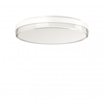 RZB SCABRA R Echtglas-Optik   312814.002 