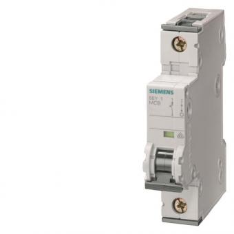Siemens 5SY41256 Leitungsschutzschalter 