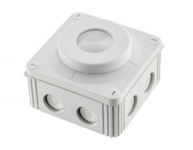 Pracht XLS CCS HRO -Tageslicht-  9800005 