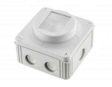 Pracht XLS CCS ASYM -            9800004 