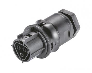 Wieland Buchsenteil   RST20I3F B2 M00 SW 