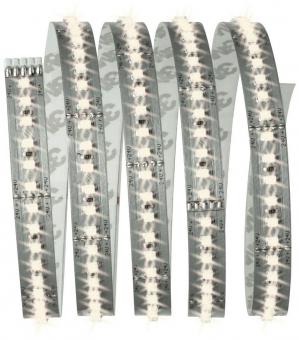 PAULM Function MaxLED 1000 Basiset 70585 
