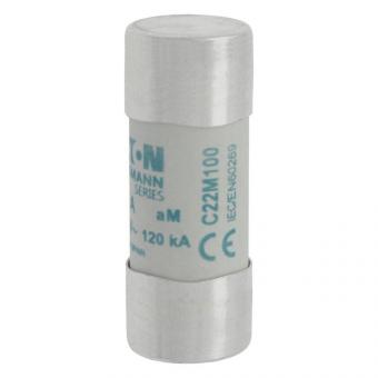 EATON Zylindersicherung 22x58    C22M100 