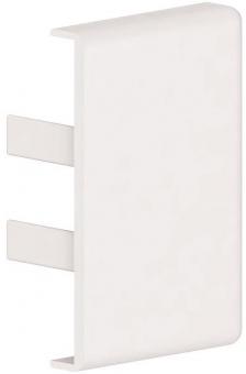 GGK Endplatte für LFG 25x40        14992 