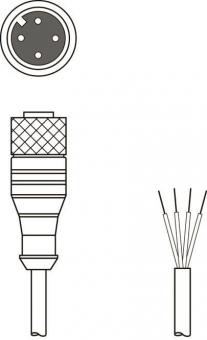 Leuze Anschlussltg.   KD U-M12-4A-V1-200 