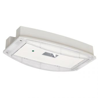 CEAG i-P65 Plus H 3H        IP65PHP3HCGL 