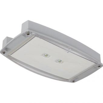 CEAG                       IP65LEDO230CG 