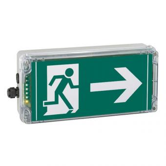 CEAG Ex-Notlicht-            12191030001 