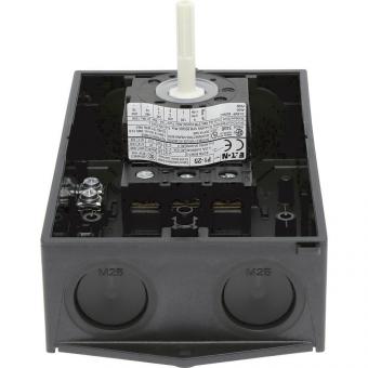 EATON P1-25/I2/SVB-SW             207294 