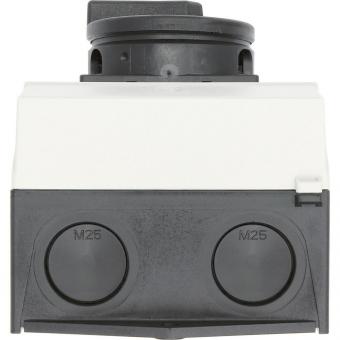 EATON P1-25/I2/SVB-SW             207294 