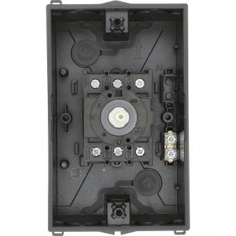 EATON P1-25/I2/SVB-SW             207294 