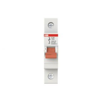 ABB Trennschalter 1P           E201/100G 