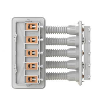 Striebel 2CPX052468R9999            CZC8 