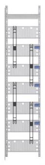 Striebel Multimediafeld             FM17 