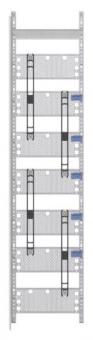 Striebel Multimediafeld             FM17 