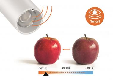 LAS LED CAMELEO 35W -2000lm  LS-CA35AW-W 