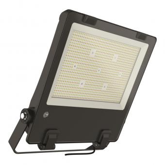 BAIL BAI LED Flutlicht Switch     145821 