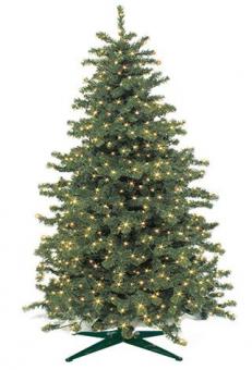 S&H LED-Quick Fix Tree 145x180cm   59313 