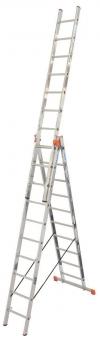 Krause "Tribilo" Sprossen         129680 