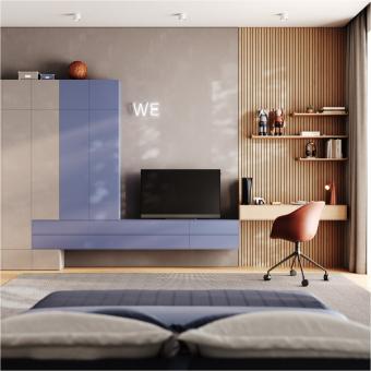 Loewe We.SEE 43 storm grey LED-TV 