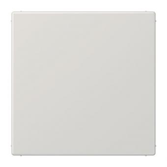 Jung USV-Modul lichtgrau  NRSLS0834USVLG 