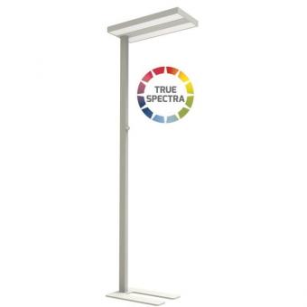 DOTLUX LED-Stehleuchte       5227-155075 