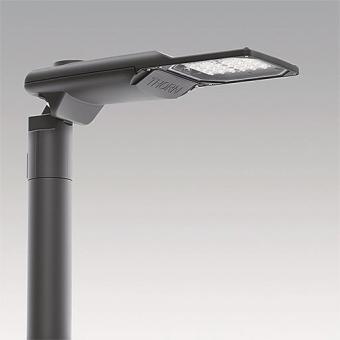 Thorn IP 24L50-740 NR BPS CL2   96275903 