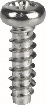 EFB Blechschraube ST2,5       80550.1-50 