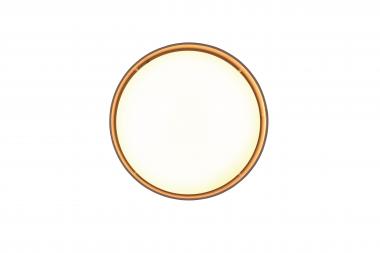 Trio LED-DL LOCARNO, 12W,      R64191141 