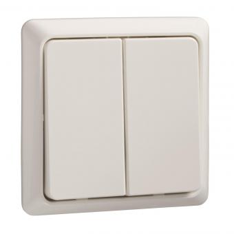 ELSO Renovierung AP Doppeltaster  506394 