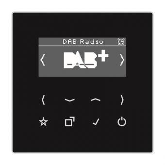 Jung Smart Radio DAB+            DABLSSW 