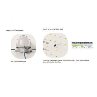 LTEK LED Ovalleuchte Glas IP44  OBH-XW 