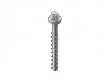 Niedax Schraubanker   NSA 6X55/SW10-M6 V 
