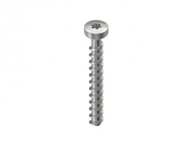 Niedax Schraubanker   NSA 6X50/FKK-T30 V 