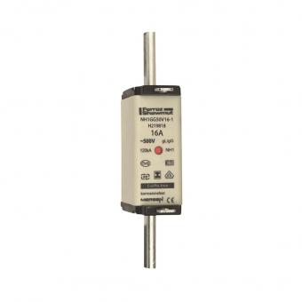 Mersen 1B763.000000 NH00 100A gG 500V 