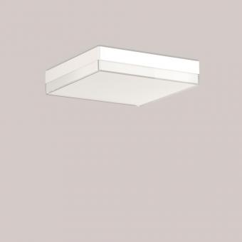 RZB SCABRA Q, 12...25 W,      312833.002 
