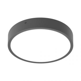 LEDV BULKHEAD RD IP65 IK10 sw D=250mm 