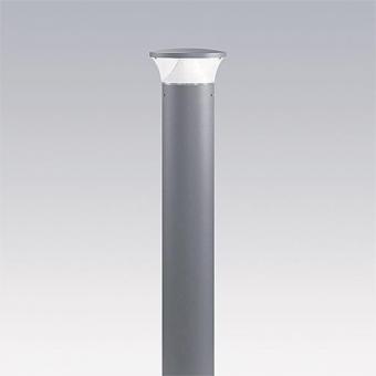 ZUM LED-Poller                  96264251 