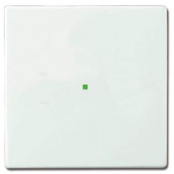 BJ Wippe 1-fach               6230-10-84 