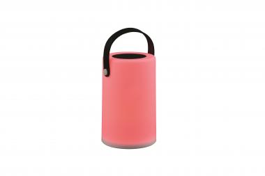 Trio Solar-/Batterieleuchte    R54066101 