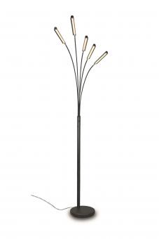 Trio LED-Stehleuchte REED, 5x  R41031532 
