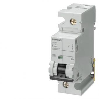 Siemens Automat C 80A           5SP41807 
