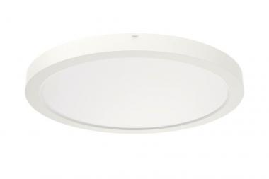 RIDI Sanierungsdownlight SARA290 0322095 