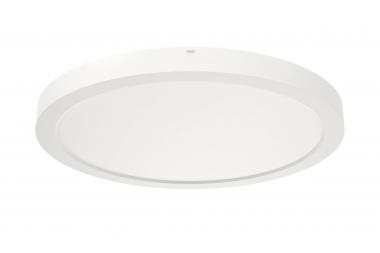 RIDI Sanierungsdownlight SARA290 0322095 