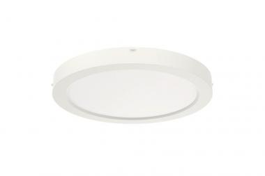 RIDI Sanierungsdownlight SARA220 0322094 