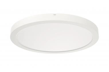 RIDI Sanierungsdownlight SARA220 0332095 
